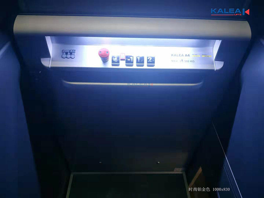 卡尼亚家用电梯KALEA K300
