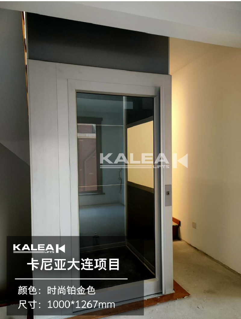卡尼亚家用电梯KALEA K300