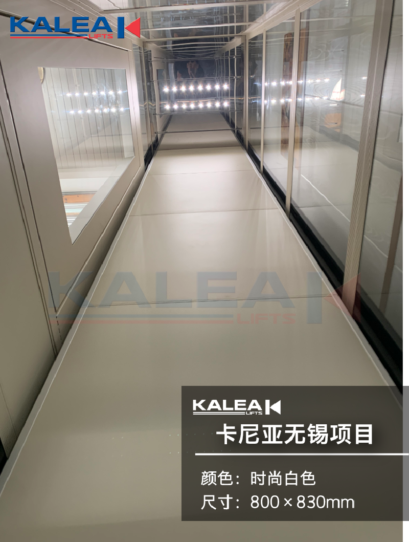 卡尼亚家用电梯KALEA K300