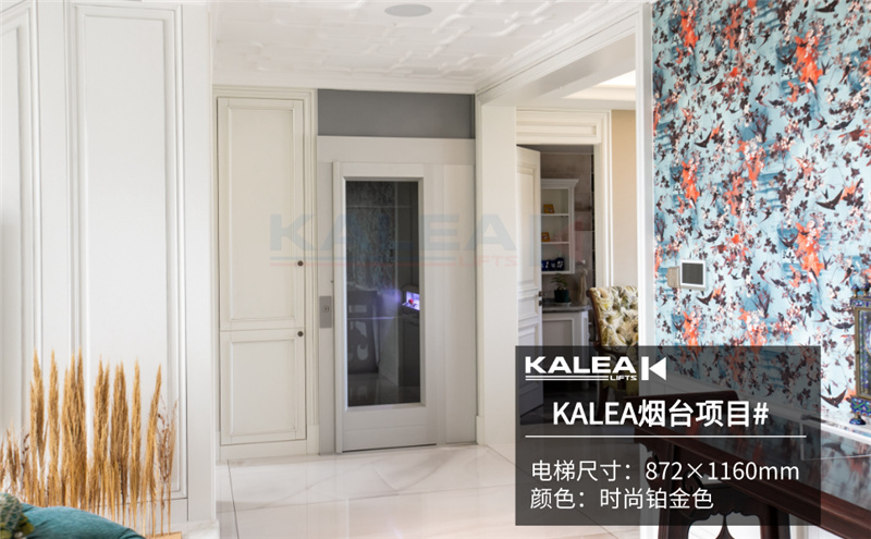 卡尼亚家用电梯KALEA K300