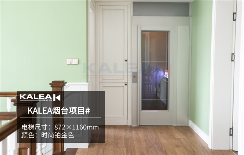 卡尼亚家用电梯KALEA K300