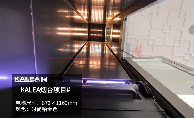 卡尼亚家用电梯KALEA K300