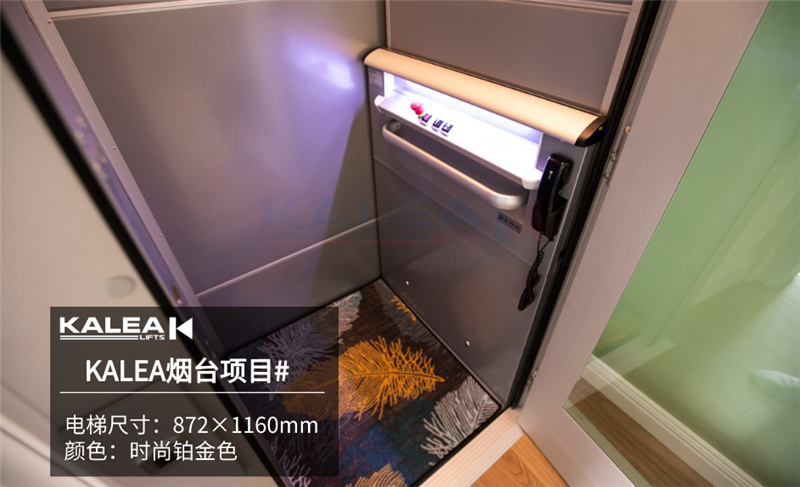 卡尼亚家用电梯KALEA K300