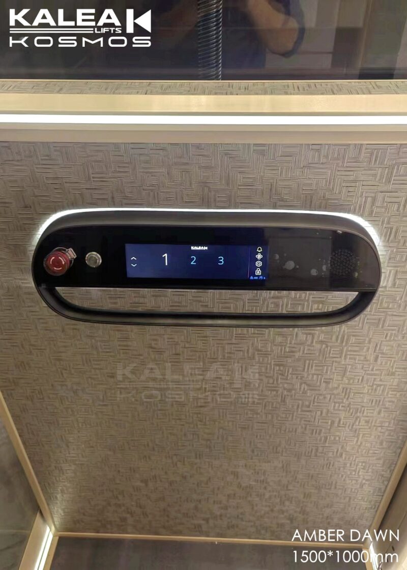 卡尼亚家用电梯X50江苏泰州案例2024